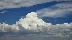 Towering Cumulus Cumulus Congestus Cloud Sometimes Stock Footage Video (100% Royalty-free) 11298290 | Shutterstock
