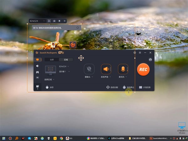 EaseUS RecExperts v3.8.0一款专业好用的支持全屏、局部、窗口录屏软件