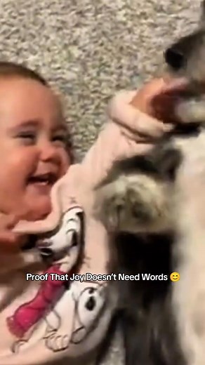 Baby laugh is the purest sound in the world Funny baby videos baby cutebaby babiesoftiktok funnybaby laughter laughing funnyvideo adorable fyp Kidz Zone | Kidz Zone Offical