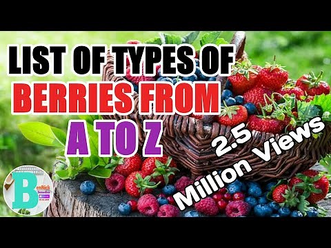 LIST OF TYPES OF BERRIES FROM A TO Z