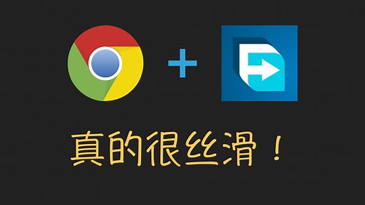 一套上网及下载的丝滑小连招，Chrome Free Download Manager Crx插件