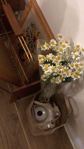 나햄치즈 | 나만애 벚꽃 담는 방법 📹 ⋆°｡𖦹 ⋆｡˚ 다양한 빈티지캠을 취향대로 골라 봄을 담아보세요 🪽 제 픽은 VHS, Z1050, T3, Glow, F Natura ♥ 저장해두고 사용해보세요 - *사용 앱 @beautycam.kr... | Instagram