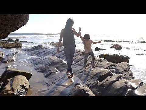 Plexus Worldwide | Opportunity Overview