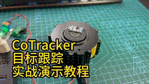 CoTracker 目标跟踪实战演示教程