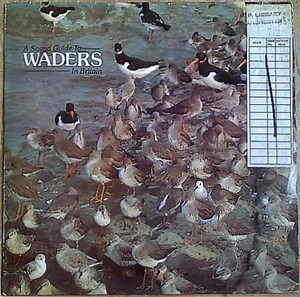 Various - A Sound Guide To Waders In Britain