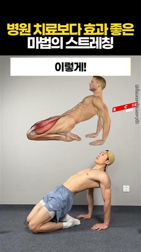 병원 치료보다 효과 좋은 마법의 스트레칭