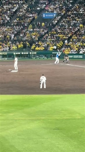 なんやこのグロ動画ポッカキットに載せれるやろ