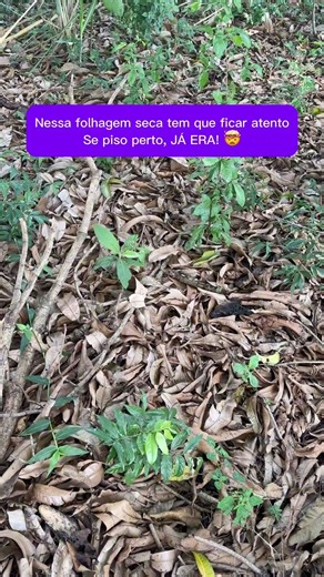 Um segundo de bobeira e já era 🙉 #pesca #fishingvideo #fishing #cobra