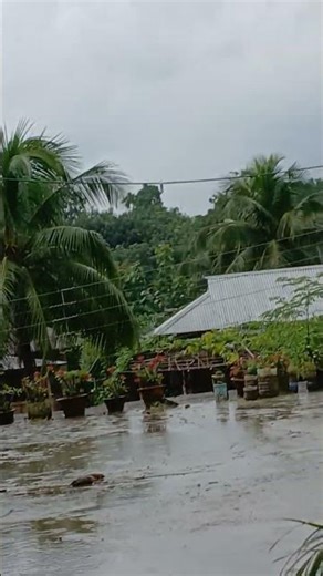feeling rain with some romantic songs #feeling #sad #song #rainyday #nature #viral #youtubeshorts