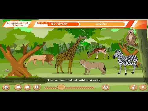 Ch 18 | Animals | EVS | Class 03 | For children