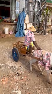 Monkeys Clip on Reels
