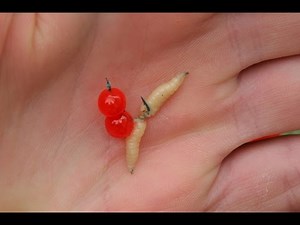 Forellensee Basics 5: Oberflächenmontagen