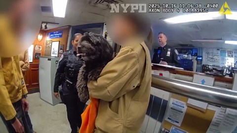 NYPD officers rescue missing dog from underneath Manhattan subway train