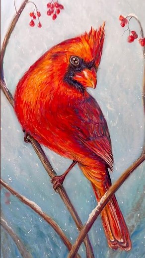 Winter cardinal #softpastels #pastelpencil