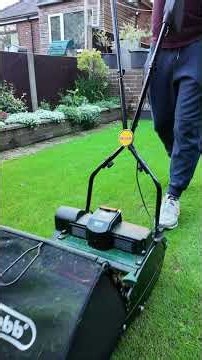 Mowing New Lawn at 19mm! (Day 23 Update) #lawncare #lawnrenovation #lawn#poa #garden #reelmowing