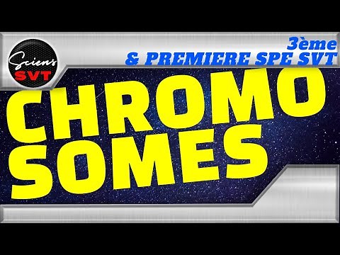 LA FORMATION DES CHROMOSOMES - GENETIQUE - PREMIERE SPECIALITE SVT & 3EME
