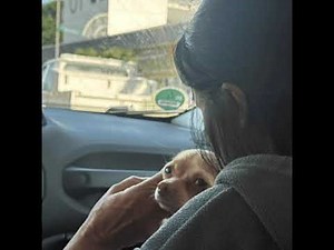 bbno$ - 1-800 (Clean Version) ft. ironmouse