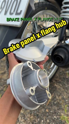 Exploring Brake Panels and Flange Hubs