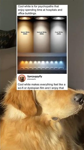 Cool white makes everything feel like a sci-fi or dystopian film