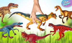 13K views · 246 reactions |...