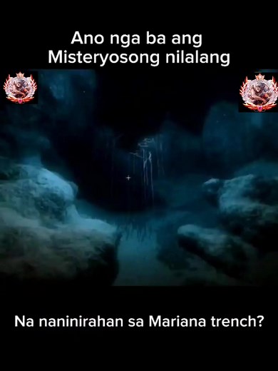 Prime Navos. on TikTok