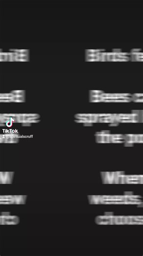 Spiritualscruff (@spiritualscruff)’s videos with original sound - Spiritualscruff