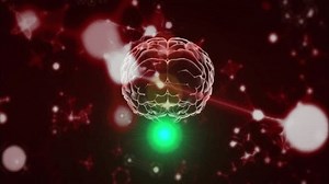 Glowing Brain Neural Connections Animation Over Stock Footage Video (100% Royalty-free) 3602252359 | Shutterstock