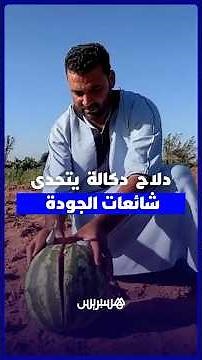 دلاح دكالة "البوري" يتحدى شائعات الجودة.. والمهنيون: تكلفة النقل واليد العاملة تحدد سعر البيع