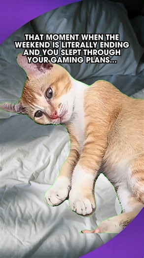 Weekend plans? What weekend plans? 😿 #gaming #meme | Mega Cat Studios