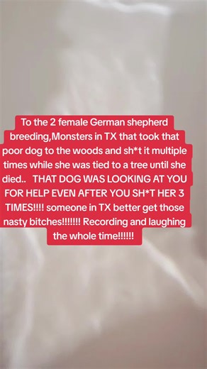 Protecting German Shepherds from Abusive Breeders in Texas