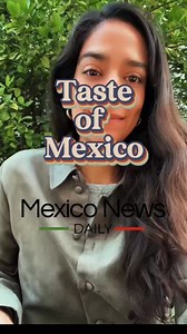 🌱 Chico...what? Meet the chicozapote: a fruit so unique that our ancestors must have been truly brave (or hungry!) to try it! 🍂 Native to Mexico and Central America, this intriguing fruit grows on trees that also produce a gummy resin called "tzictli" by the Aztecs—yes, that’s ancient gum! 💥 Next time you see this fruit, don’t hesitate! Just let it ripen until the skin turns soft and brown, scoop out that delicious pulp, and enjoy! 😋 #mexico #mexicanfood #recipes #tasteofmexico | Mexico News