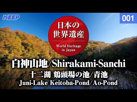 日本の世界遺産 [001] 白神山地/十二湖/青池/WorldHeritage/Shirakami-Sanchi/Juni-Lake/Ao-Pond