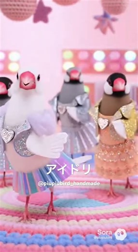 #文鳥#javafinch#白文鳥#whitejava#桜文鳥#sakurajava#シルバー文鳥#silverjava#シナモン文鳥#cinnamonjava#sora#小鳥#推し活#アイドル