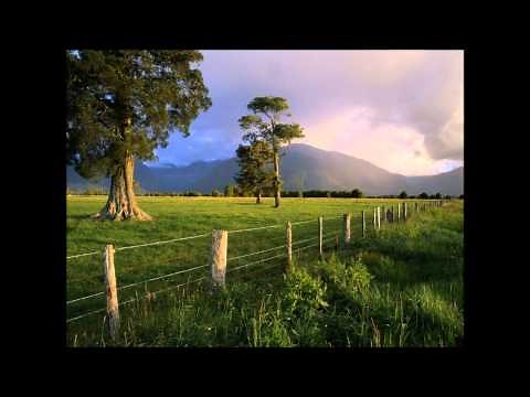 Folk Songs - Turkey in the Straw
