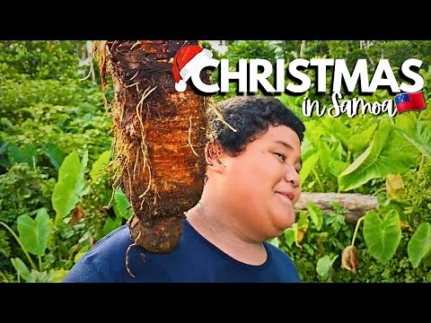 Gathering Food for our BIG Christmas feast | CHRISTMAS IN SAMOA | SamoanFarmer👨‍🌾🇼🇸🎥