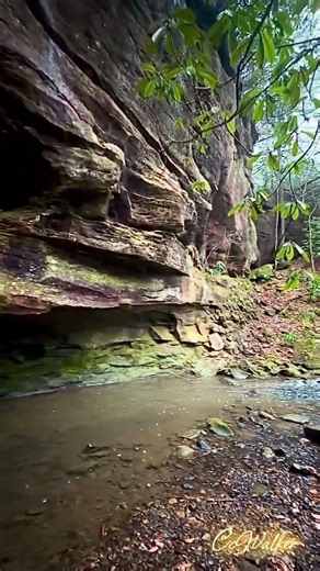 Kentucky’s Beauty. #waterfall