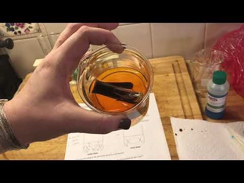 NYS Diffusion through a membrane part 1-2: chemical indicators & examining the cell