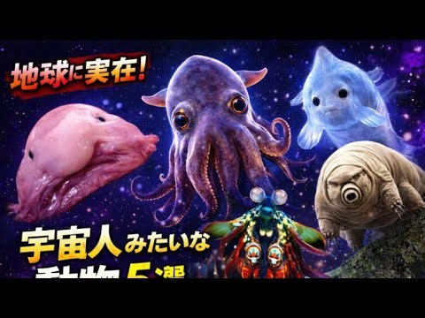 5 Alien-Like Animals on Earth