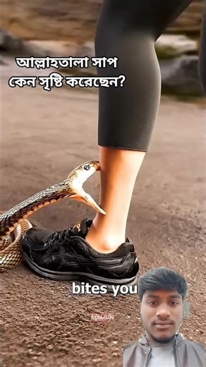 Why Did Allah Create Snakes?APowerful Reminder #facts #shorts #shortvideos