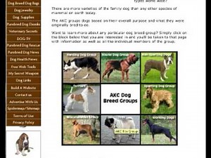 AKC Dog Breed Groups - AKC Dog Breed Classes