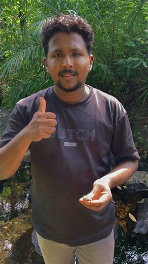 ✅Survival Skills | No Fire Box? No Problem! Primitive Fire Making Techniques #emergency fire#camping