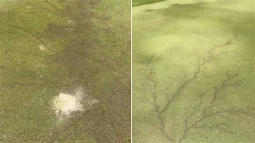Lightning strike hits flagstick on Harrison golf course, damaging green