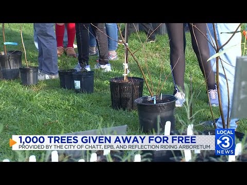 Locals receive over 1,000 free trees and bushes through environmental program
