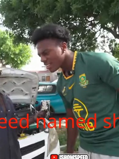 Exploring South African Zulu and Xhosa Cultures