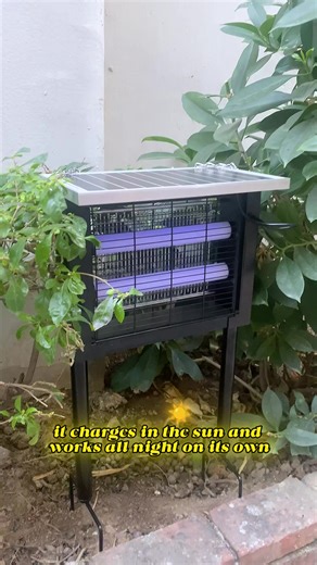 New solar bug zapper #mosquito #flies #solarbugzapper #backyard #mosquitokillerlamp