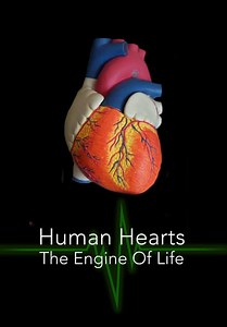 Human Hearts: The Engine of Life (2020)