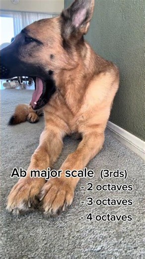 Ab major scale (3rds)