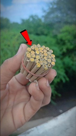 Bidi bomb testing 😱