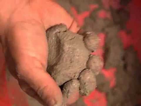 How to Repoint Bricks in a Wall