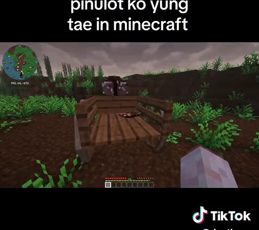 Fun with Minecraft Mods and Cute Characters